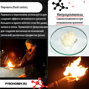 Пировата