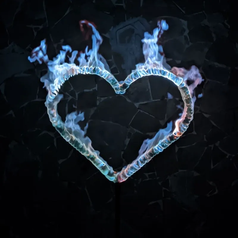 Сердце огненное под цветанол