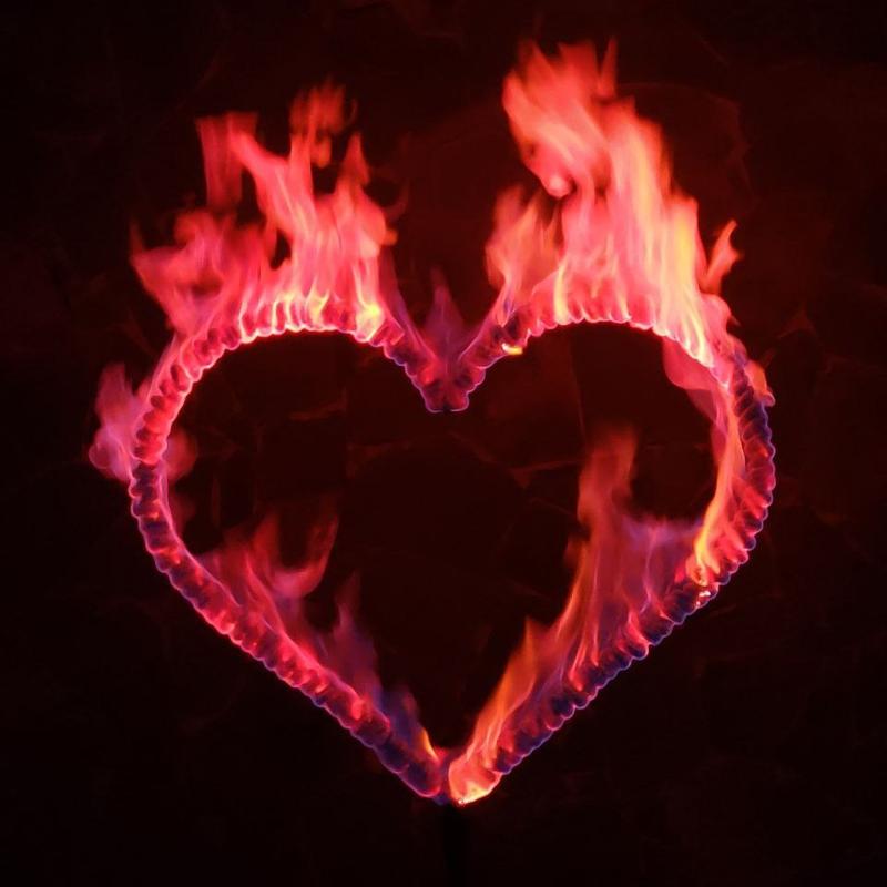 Сердце огненное под цветанол