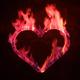 Сердце огненное под цветанол