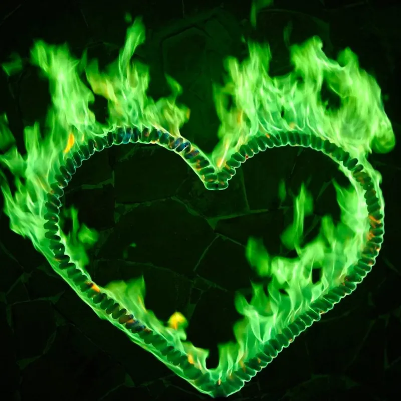 Сердце огненное под цветанол