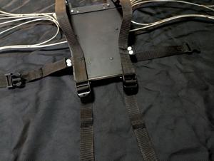 Крылья огненные