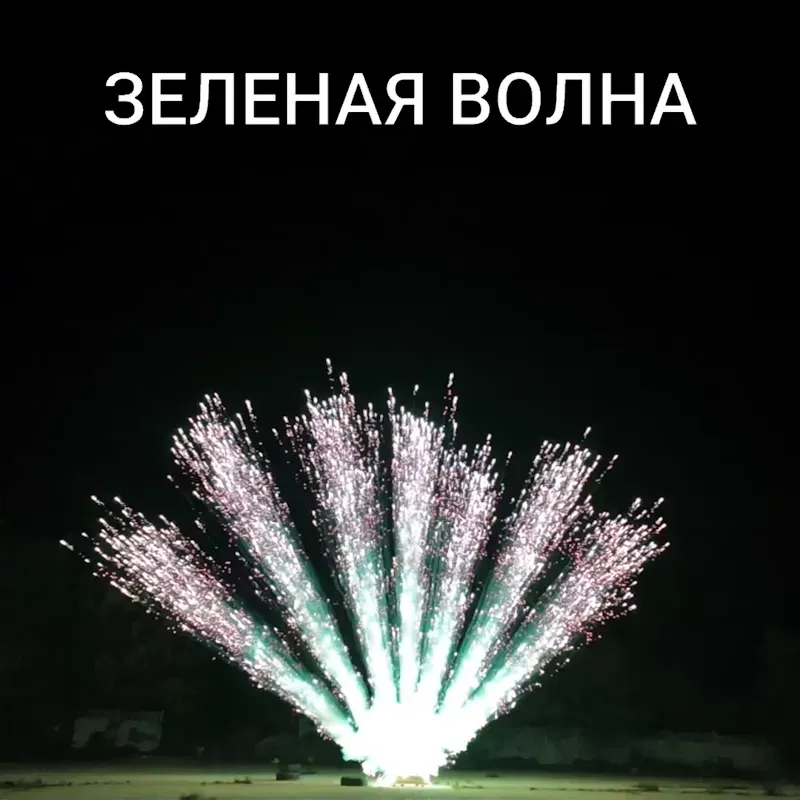 Веер из бурачков (7шт)