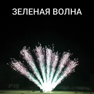 Веер из бурачков (7шт)