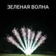 Веер из бурачков (7шт)