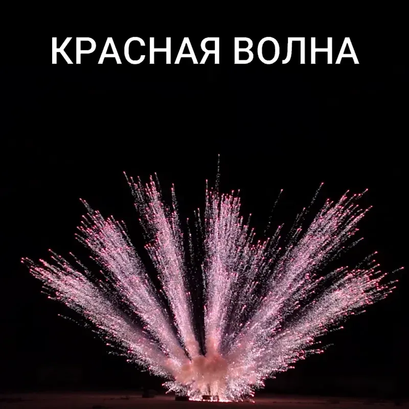 Веер из бурачков (7шт)