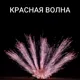 Веер из бурачков (7шт)
