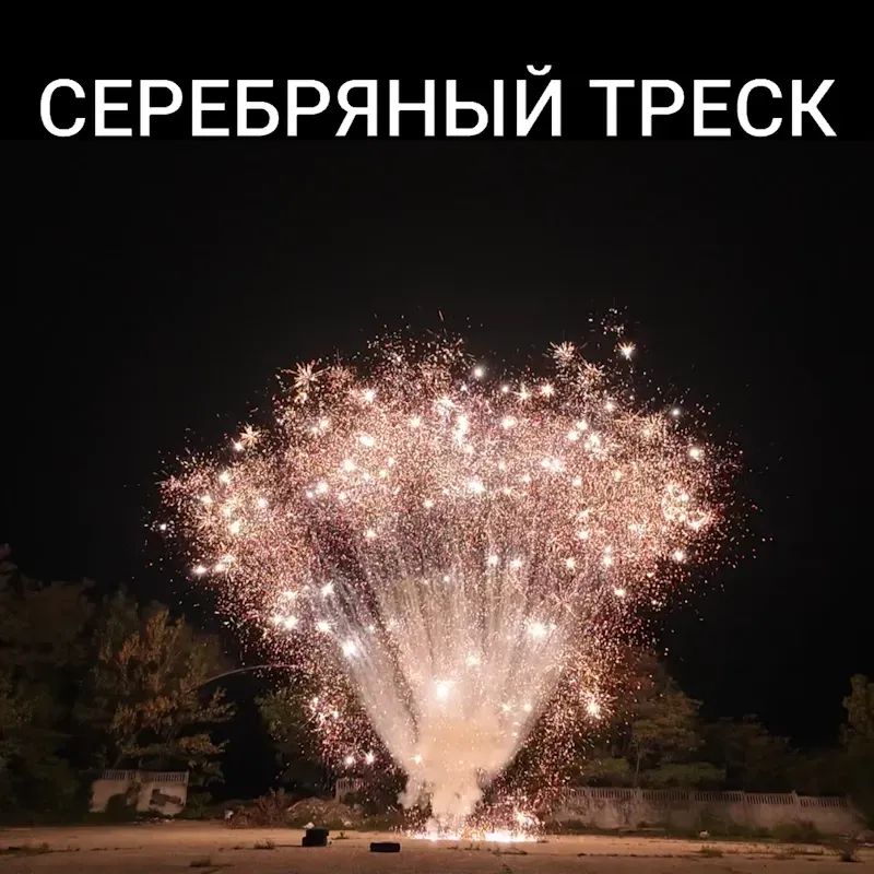 Веер из бурачков (7шт)