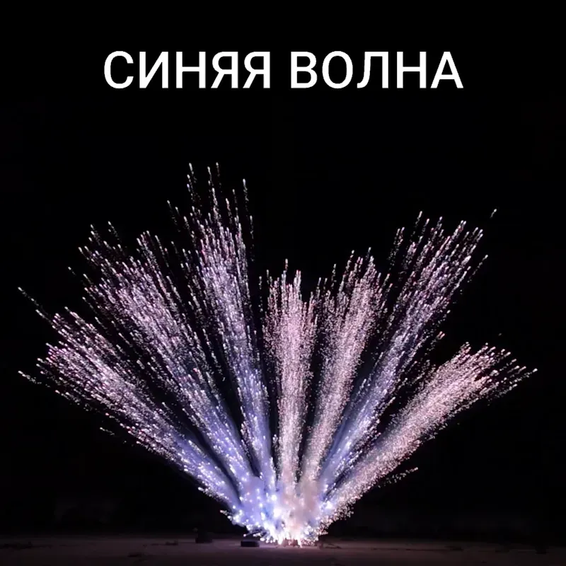 Веер из бурачков (7шт)
