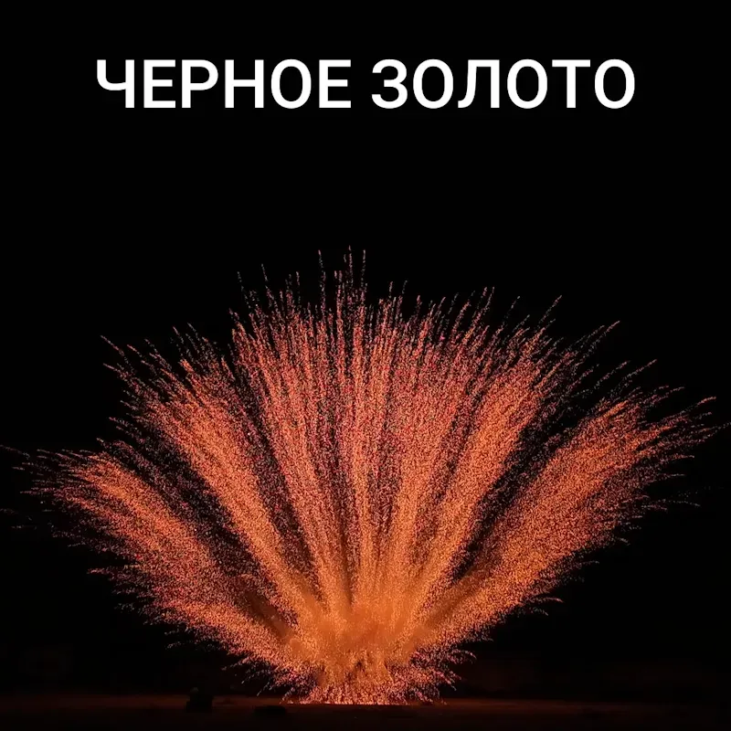Веер из бурачков (7шт)